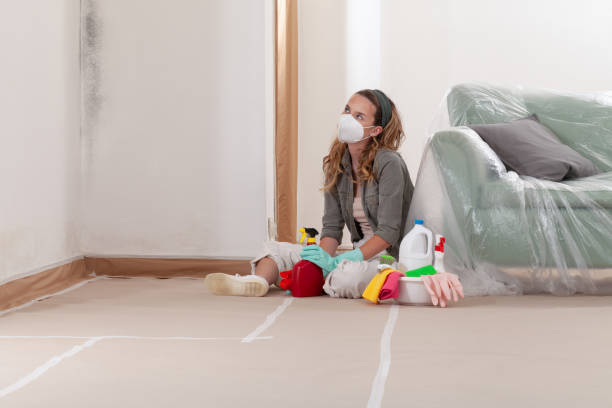 Reliable Mold Remediation contractor in Weehawken, NJ by Cheap Mold Removal